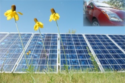 solar panels, flowers, Toyota PHEV