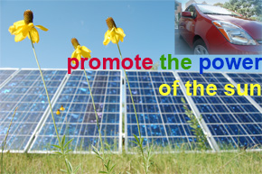 solar panels, flowers, toyota prius
