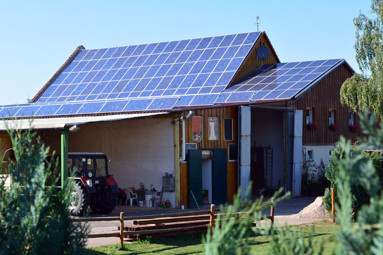 My daughters and I stayed at this farm in Sondershausen, Germany. As you can see, the ENTIRE roof is covered by solar panels. This is a COMMON sight in Germany. [Photo by Christof Demont-Heinrich]